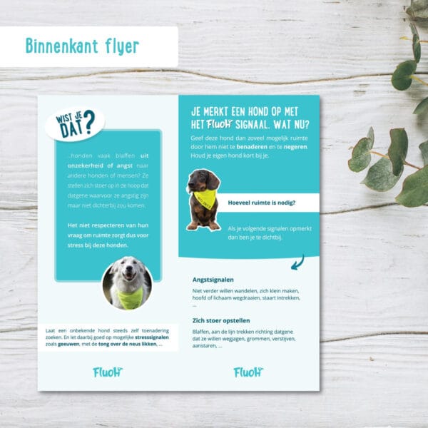 Binnenkant flyer