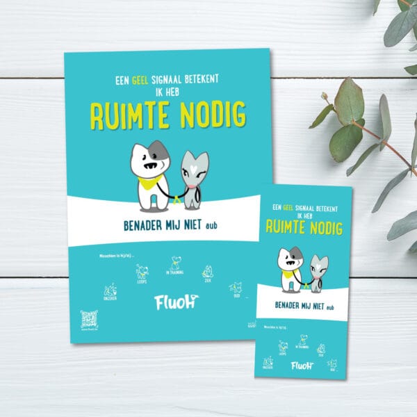 FluOH poster en flyer